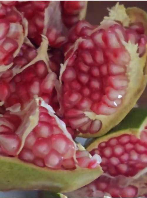 متجر بيع الاعلاف